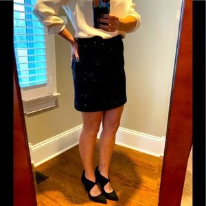 Black Skirt with a Flare of Sparkle